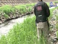動画:釣るテレ2017年6月号「渓流ヤマメ」